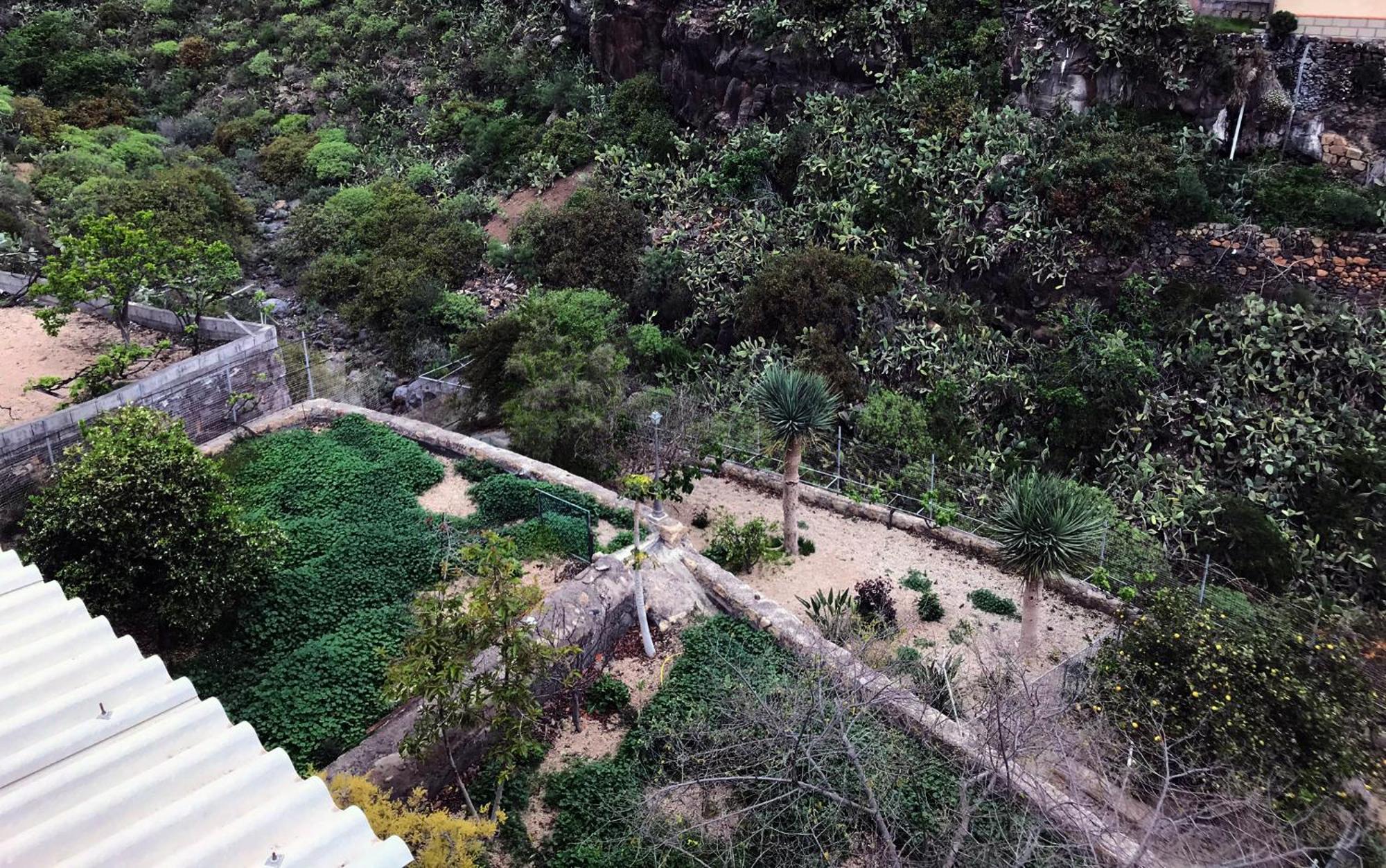 Acogedor Apartamento En San Miguel De Abona Dış mekan fotoğraf